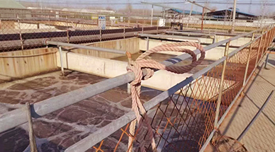 ?雷茨空氣懸浮風(fēng)機(jī)，讓食品廠污水處理節(jié)能30%-50%