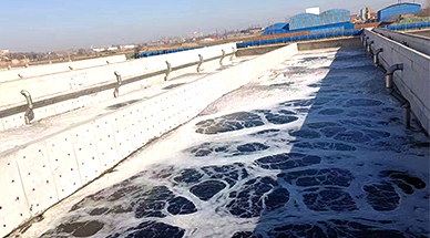 1654845612467957.jpg 新聞封面.jpg